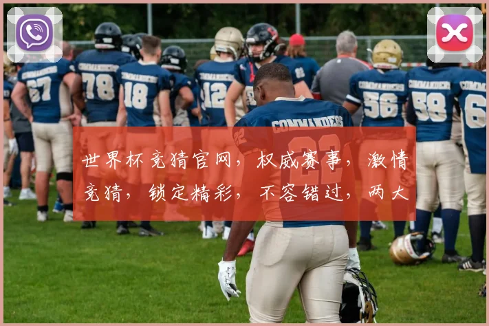 世界杯竞猜官网，权威赛事，激情竞猜，锁定精彩，不容错过，两大亮点